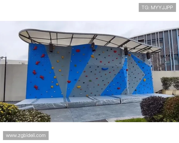 成都攀岩队个人能力分析与提升策略探讨